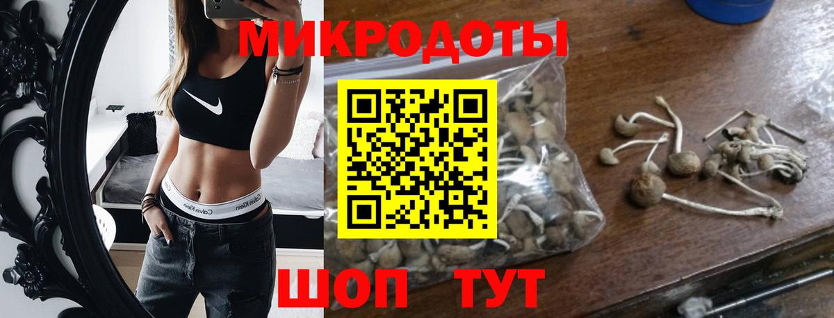 Саранск  Псилоцибиновые грибы мухоморы  Псилоцибиновые грибы ЛСД  наркотики  Вход с VPN 